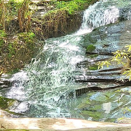 Luxury Cabin With Waterview And Privacy, Hiking Блу-Ридж Экстерьер фото