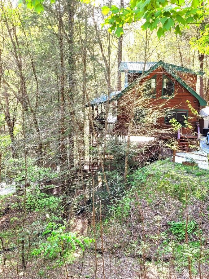 Luxury Cabin With Waterview And Privacy, Hiking Блу-Ридж Экстерьер фото